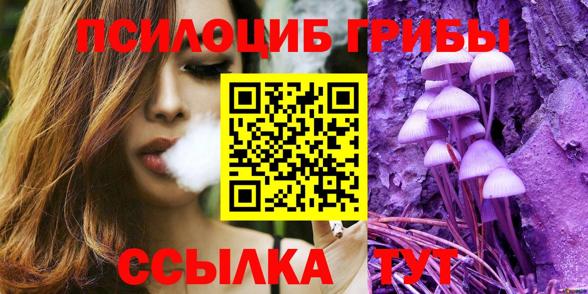 Пугачёв  Галлюциногенные грибы мухоморы  Галлюциногенные грибы MAGIC MUSHROOMS  Вход с VPN 